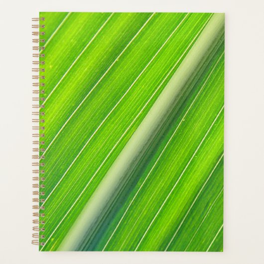 Groen natuurlijk gestreepte patroon planner (Voorkant)