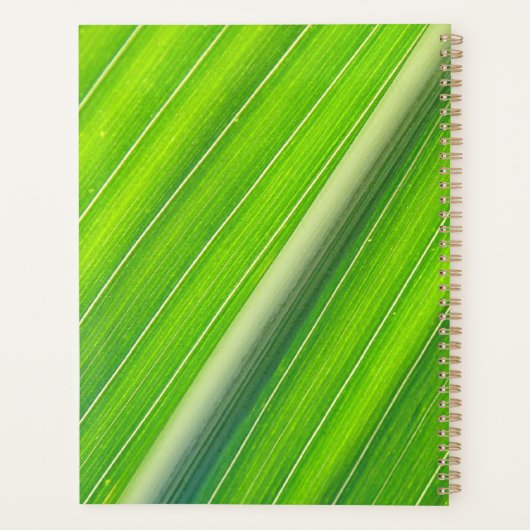 Groen natuurlijk gestreepte patroon planner (Achterkant)