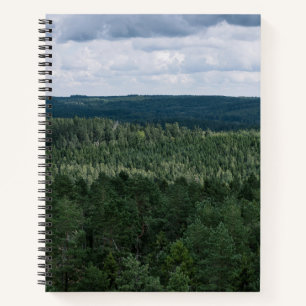 Groen Noordelijk Bos Natuur Landschap Foto Notitieboek