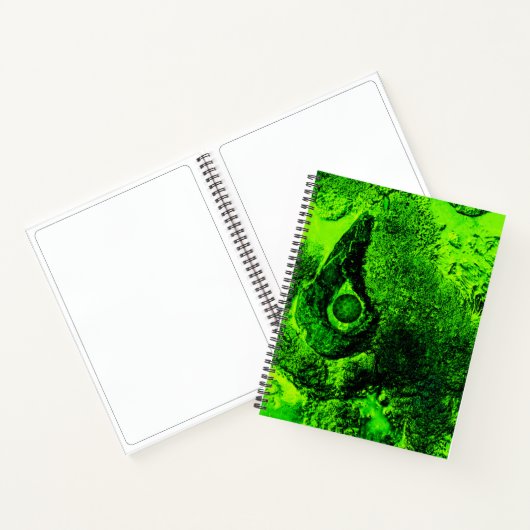 groen notitieboek (Binnen)