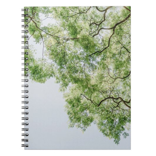 groen notitieboek (Voorkant)