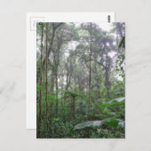 groen oerwoud briefkaart (Voorkant / Achterkant)