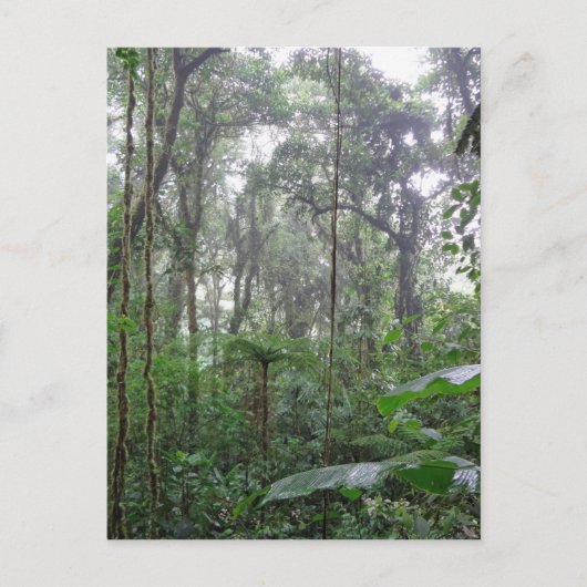 groen oerwoud briefkaart (Voorkant)