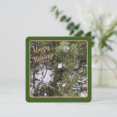 Groen omrande dennenappels - platte kerstkaart (Staand voorkant)