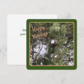 Groen omrande dennenappels - platte kerstkaart (Voorkant / Achterkant)