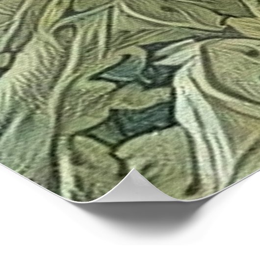 Groen oog van de Natuur Poster (Hoek)