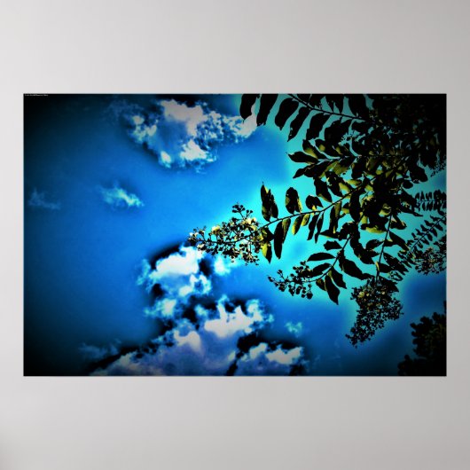 Groen op blauw, poster (Voorkant)