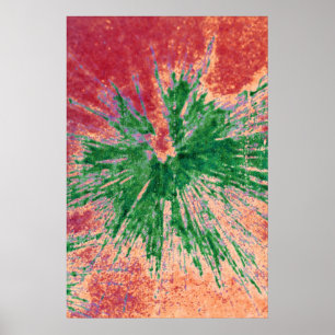 Groen op rood en Oranje schildpad Poster