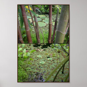 groen op water poster