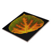 Groen Oranje en geel bladgroen 1 Tegeltje (Zijkant)