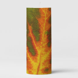 Groen Oranje en geel esdoorn Leaf #1