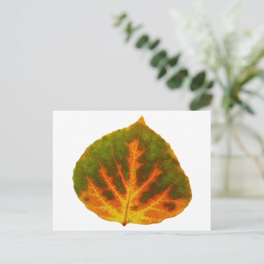 Groen Oranje en geel esdoorn Leaf #1 Briefkaart (Staand voorkant)