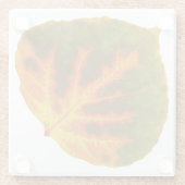 Groen Oranje en geel esdoorn Leaf #1 Glazen Onderzetter (Achterkant)