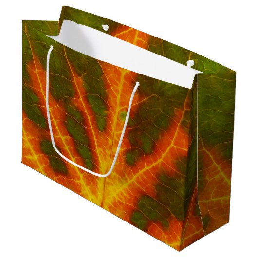 Groen Oranje en geel esdoorn Leaf #1 Groot Cadeauzakje (Voorkant Gekanteld)
