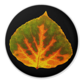 Groen Oranje en geel esdoorn Leaf #1 Keramische Knop