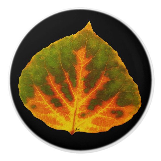 Groen Oranje en geel esdoorn Leaf #1 Keramische Knop (Voorkant)