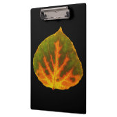 Groen Oranje en geel esdoorn Leaf #1 Klembord (Links)