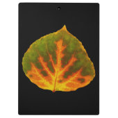 Groen Oranje en geel esdoorn Leaf #1 Klembord (Achterkant)