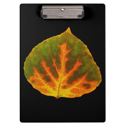 Groen Oranje en geel esdoorn Leaf #1 Klembord (Voorkant)