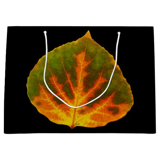 Groen Oranje en geel esdoorn Leaf #1 Large Cadeautasje (Voorkant)