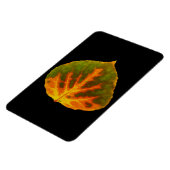 Groen Oranje en geel esdoorn Leaf #1 Magneet (Linkerzijde)