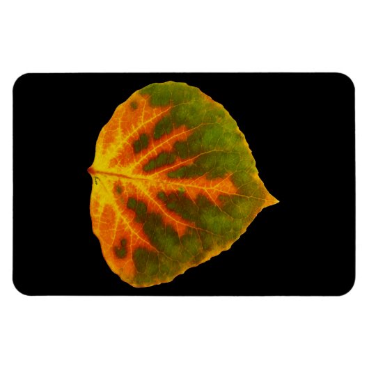 Groen Oranje en geel esdoorn Leaf #1 Magneet (Horizontaal)