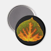 Groen Oranje en geel esdoorn Leaf #1 Magneet (Voorkant / Achterkant)