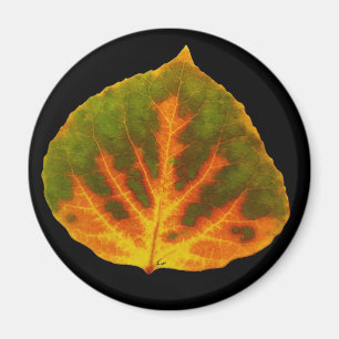 Groen Oranje en geel esdoorn Leaf #1 Magneet
