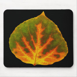 Groen Oranje en geel esdoorn Leaf #1 Muismat