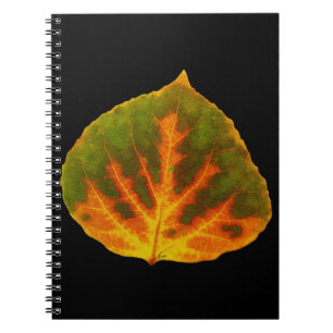 Groen Oranje en geel esdoorn Leaf #1 Notitieboek