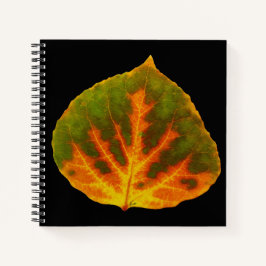 Groen Oranje en geel esdoorn Leaf #1 Notitieboek