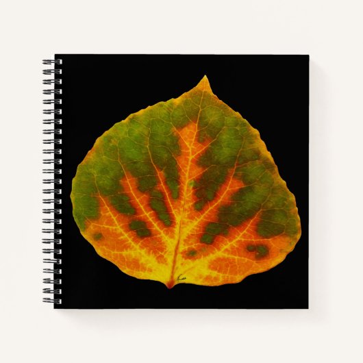 Groen Oranje en geel esdoorn Leaf #1 Notitieboek (Voorkant)