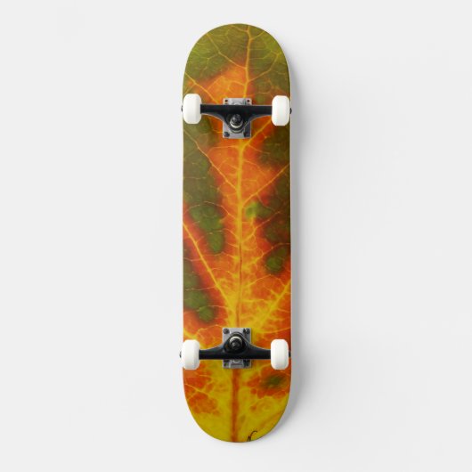 Groen Oranje en geel esdoorn Leaf #1 Persoonlijk Skateboard (Voorkant)