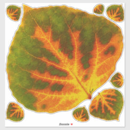Groen Oranje en geel esdoorn Leaf #1 Sticker