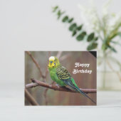  groen paraket Foto van Birthday Briefkaart (Staand voorkant)