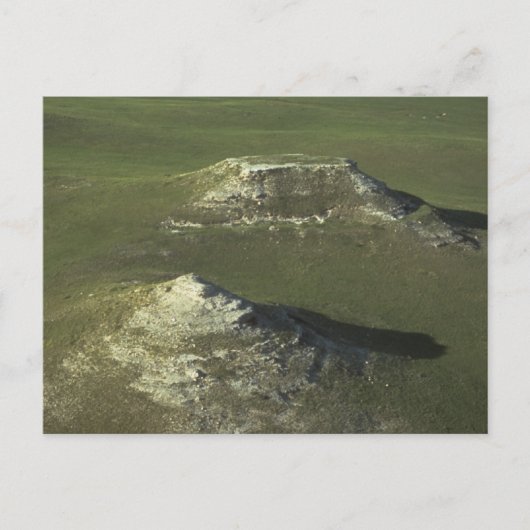 groen park van het agate national park briefkaart (Voorkant)