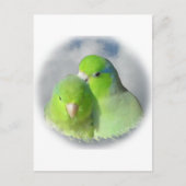 Groen parrotletpaar briefkaart (Voorkant)