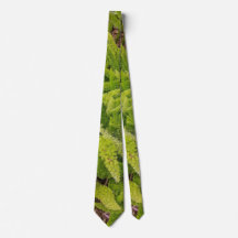 Groen patroon  Das