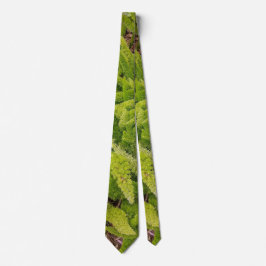 Groen patroon  Das