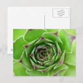 Groen plant briefkaart (Voorkant / Achterkant)