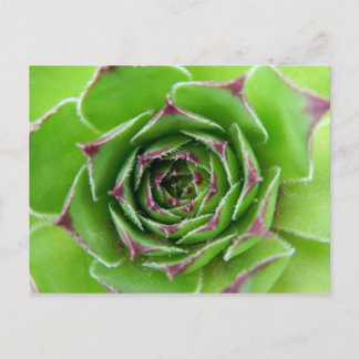 Groen plant briefkaart