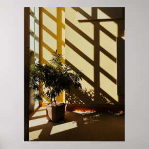 Groen plant, gegoten op bruin houten tafel poster