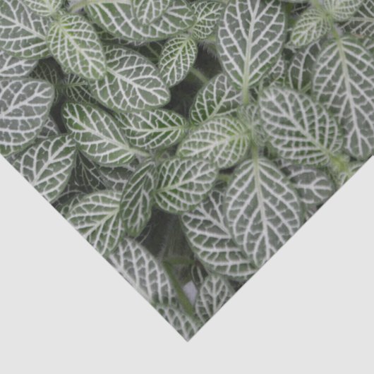 Groen Plant laat botanisch over Tissuepapier (Detail)