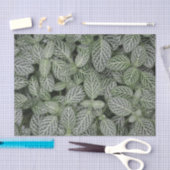 Groen Plant laat botanisch over Tissuepapier (Craft)