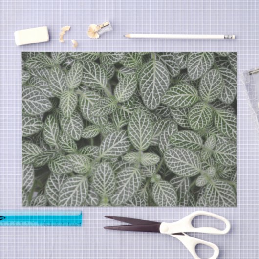 Groen Plant laat botanisch over Tissuepapier (Craft)