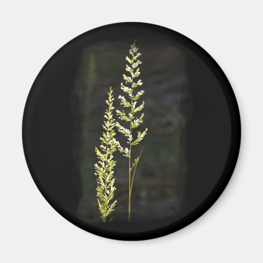 Groen Plant Magneet (Voorkant)