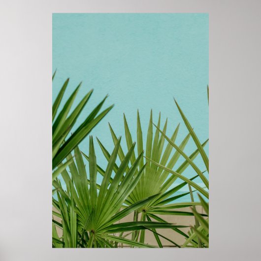 Groen plant nabij waterlichaam poster (Voorkant)