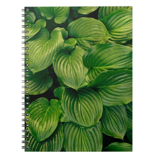 Groen plant notitieboek (Voorkant)