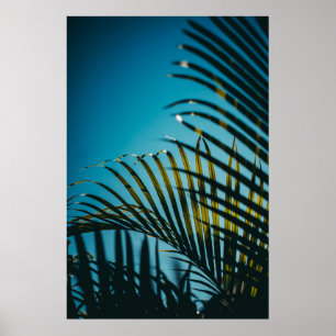Groen plant onder blauwe hemel 's ochtends poster
