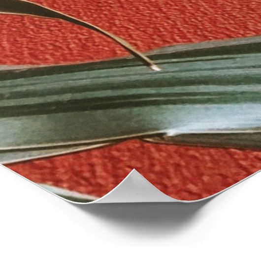 Groen plant op rode bank poster (Hoek)